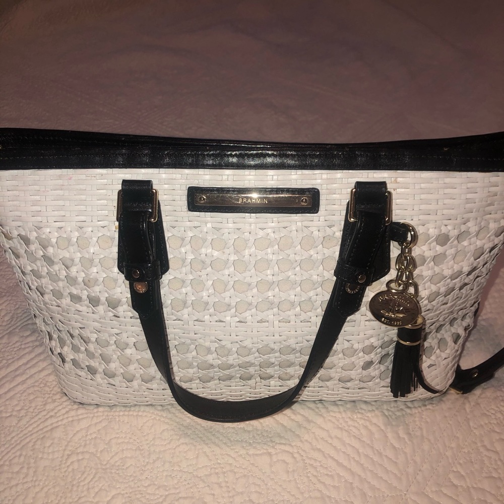 Brahmin Mini Asher